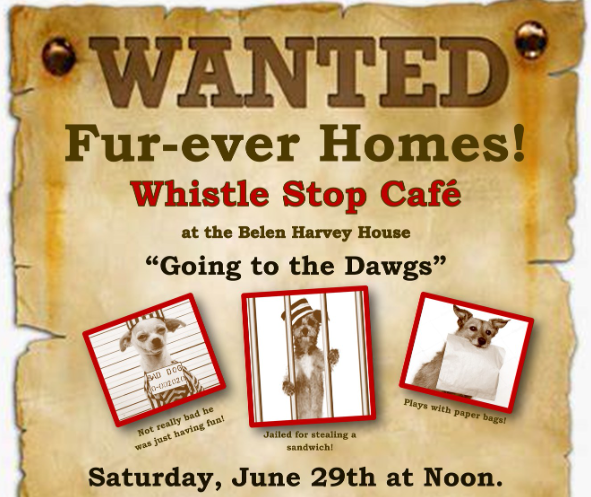 Featured image for “Whistle Stop Cafe “Going to the Dawgs””