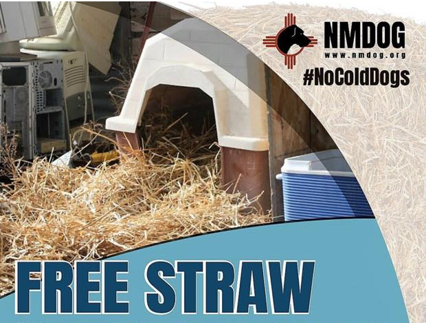 Featured image for “Free Straw for Belen Dogs”